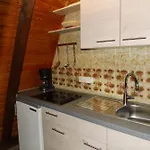 Typ Murmeltier Schmallenberg