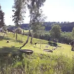 Typ Murmeltier