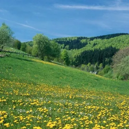 Typ Murmeltier Schmallenberg