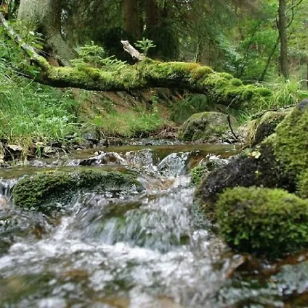 Typ Murmeltier Resort Schmallenberg