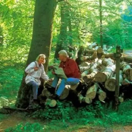 Resort Typ Murmeltier *